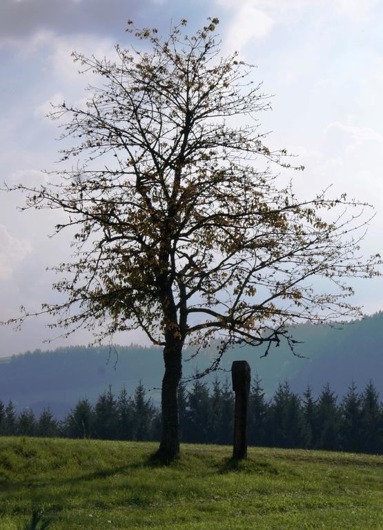 Ferienwohnung Tischneck Schramberg Buitenkant foto